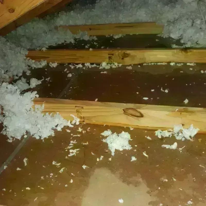 Attic Water Damage in Hinton, OK